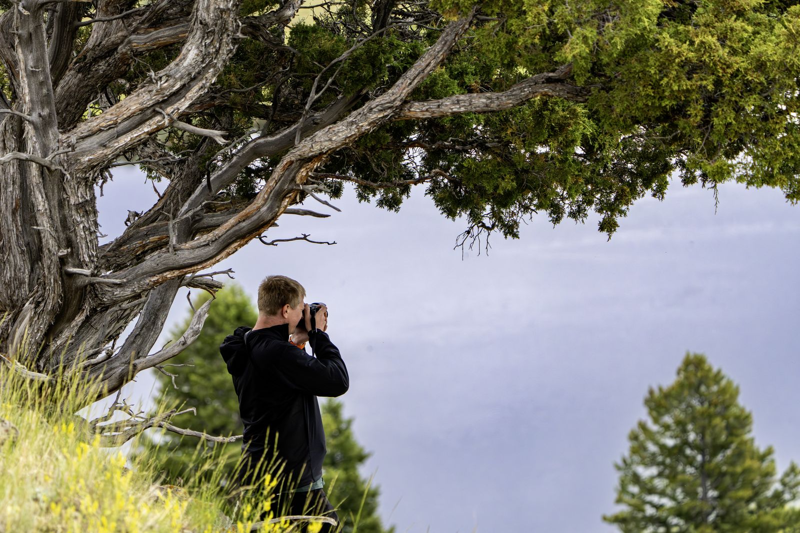 Kyle photographing under a tree in Yellowstone