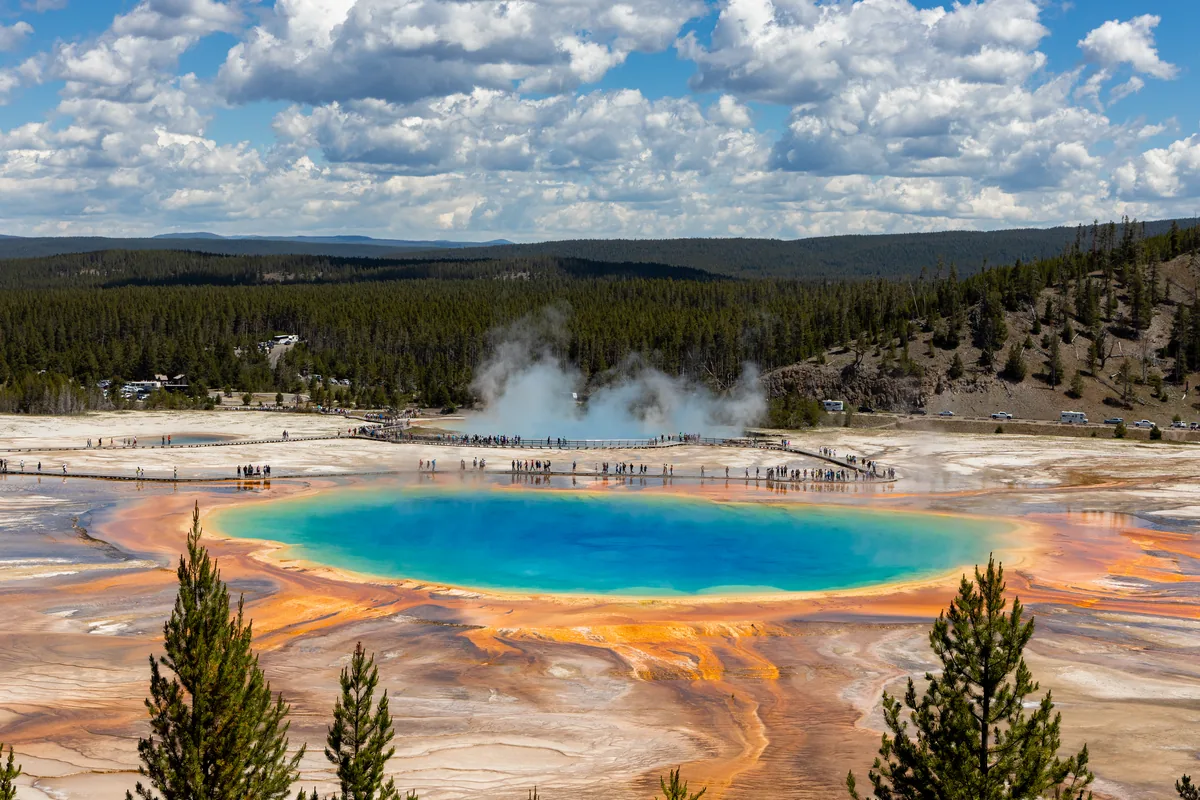 Grand Prismatic Spring's rainbow rings steaming under a blue sky